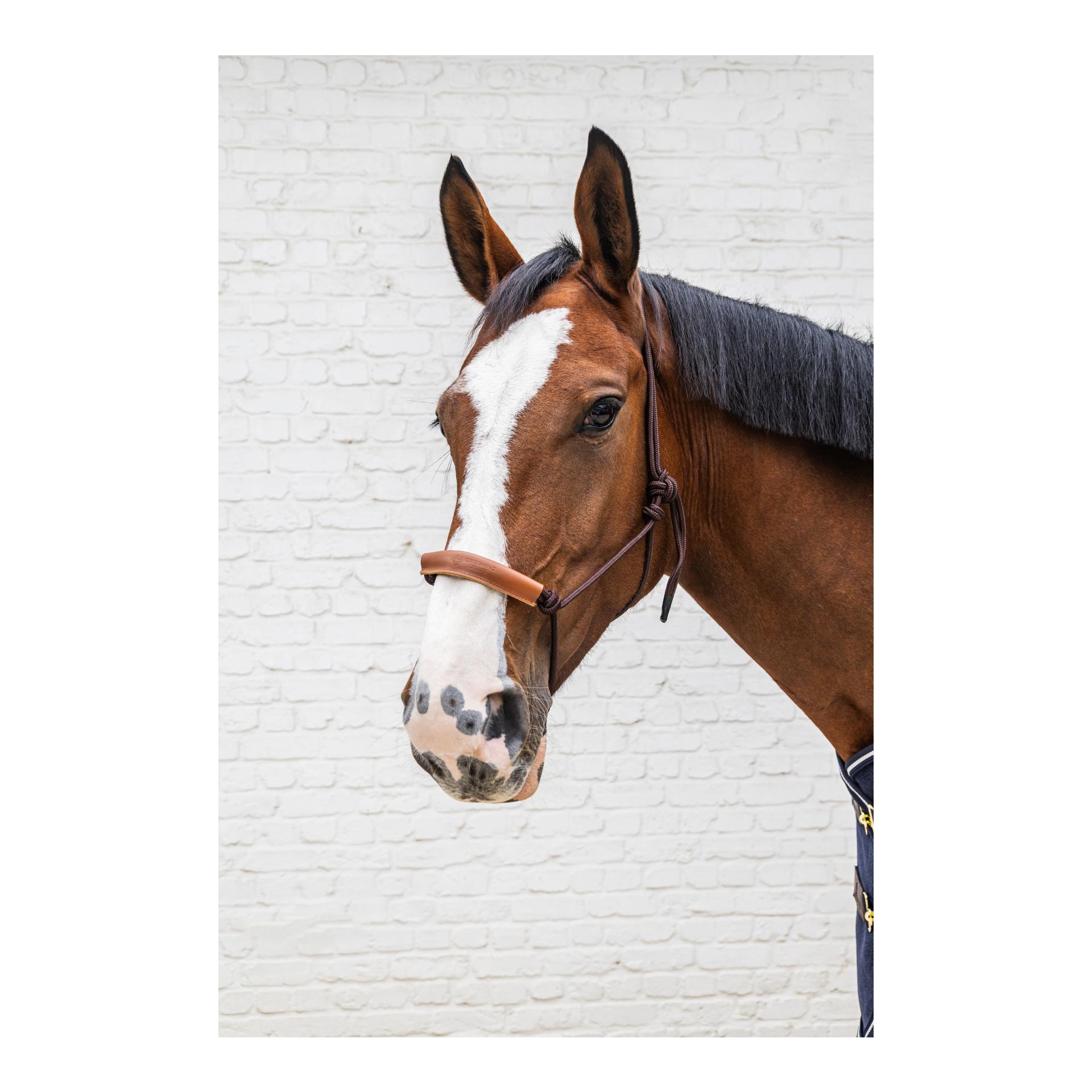 Grooming Deluxe Knotenhalfter