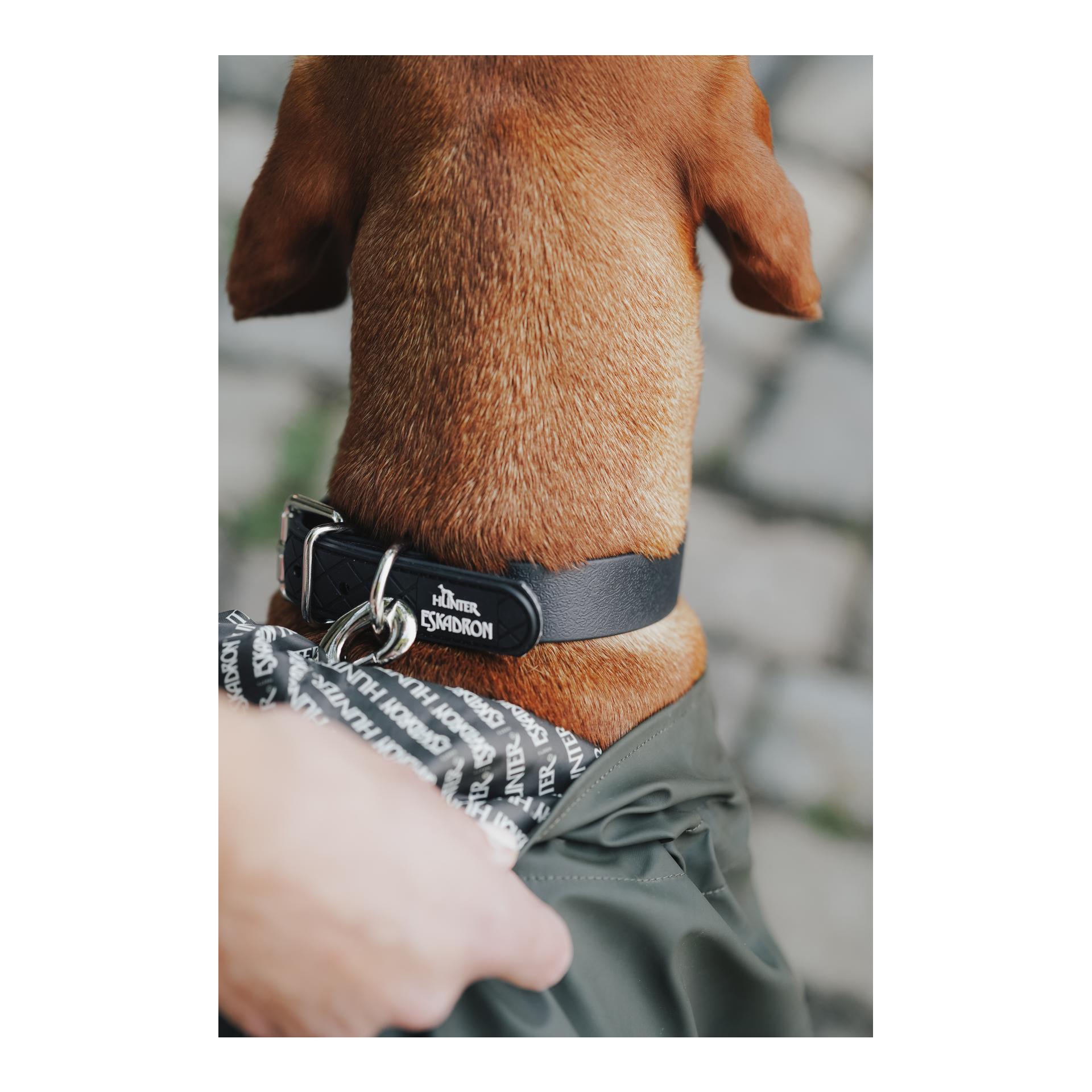 Eskadron Hundehalsband SPARK