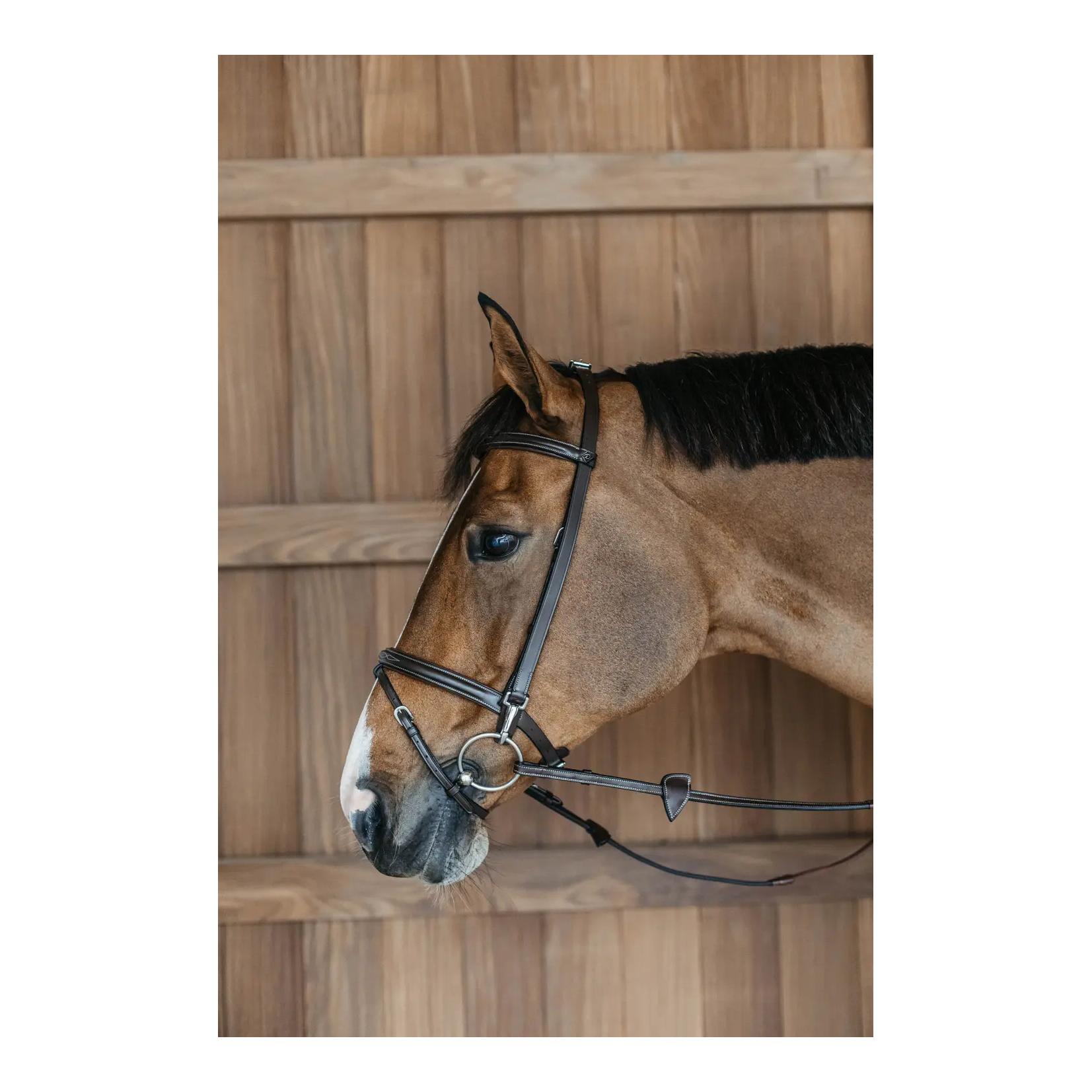 Dy'on Trainingszaum Working by Dy'on