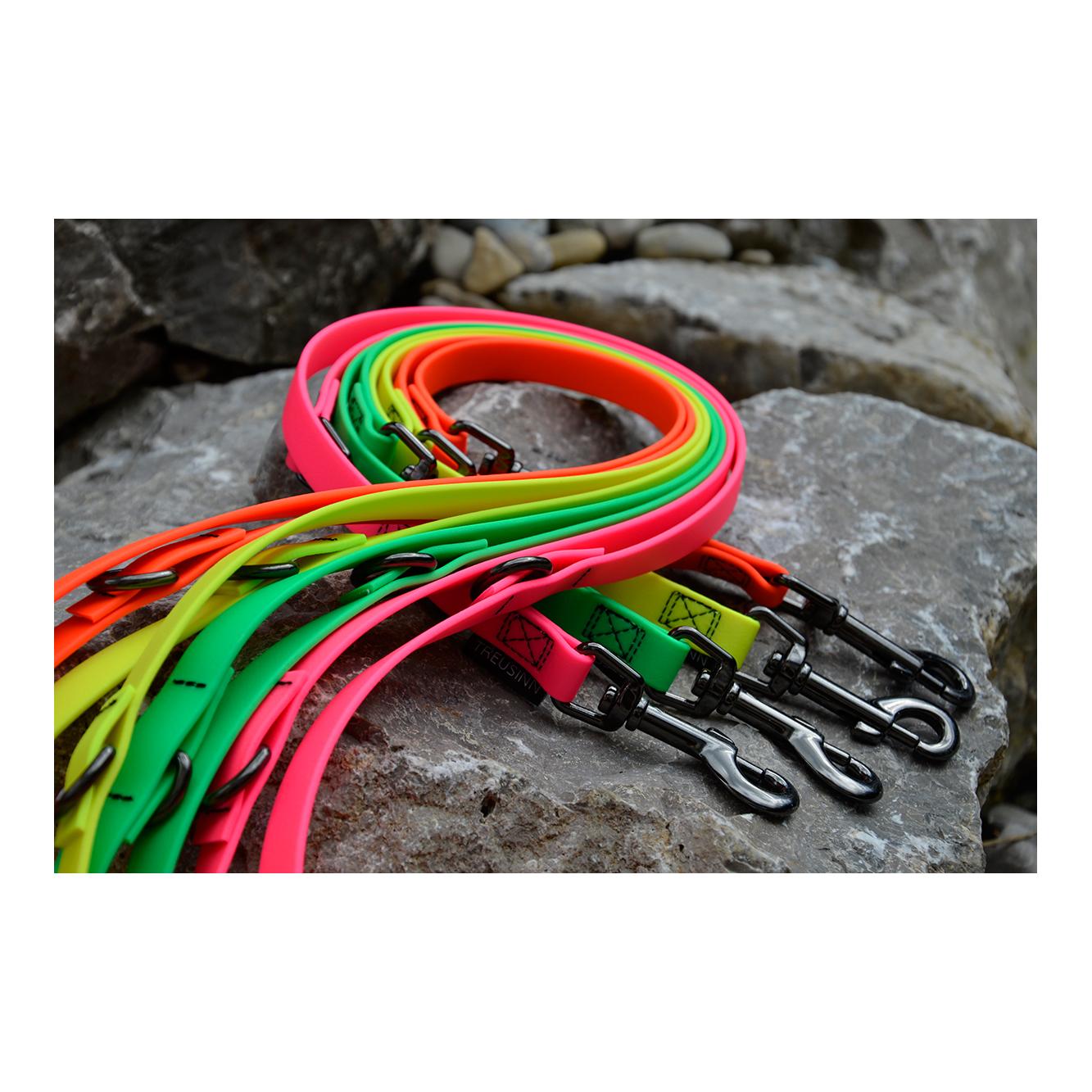 Treusinn. Laisse pour chien Biothane STAY réglable, 2m