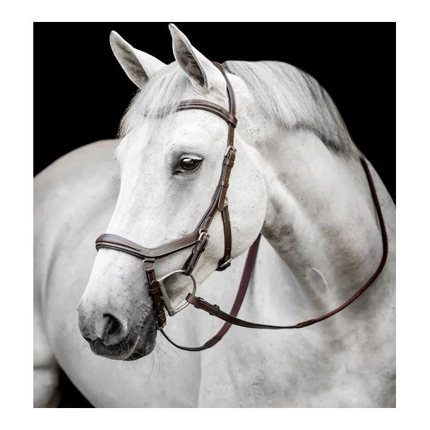 Horseware Zaum Micklem Deluxe Dark Havana