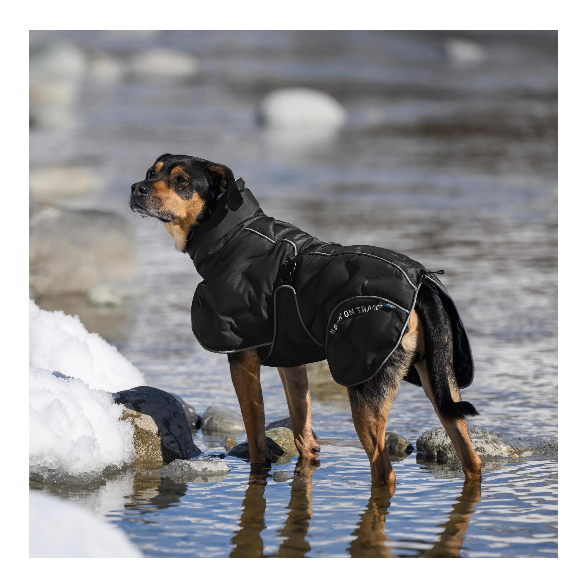 Back on Track BAY manteau d'hiver pour chiens, 120 g, queue haute
