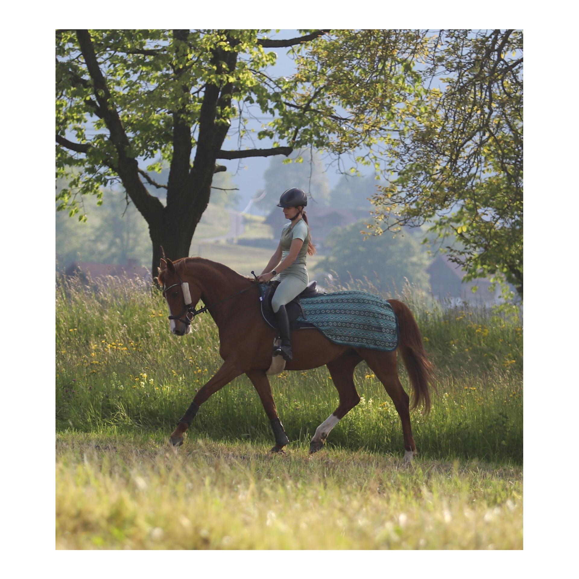 Stallone Reit-Fliegendecke Summer Stroll