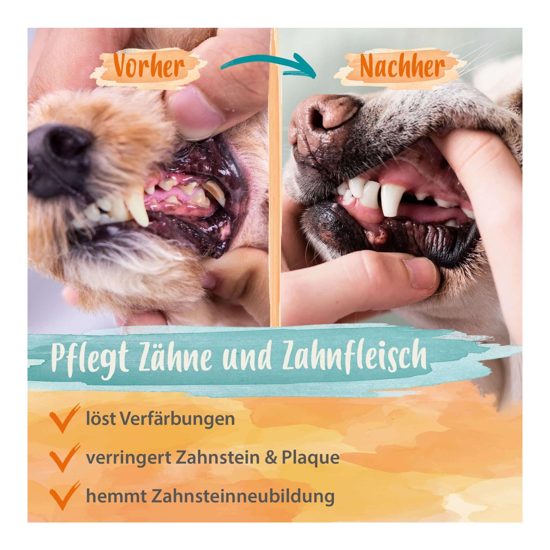 IdaPlus Denta Dog - soin simple pour la dentition du chien - met fin à la mauvaise haleine