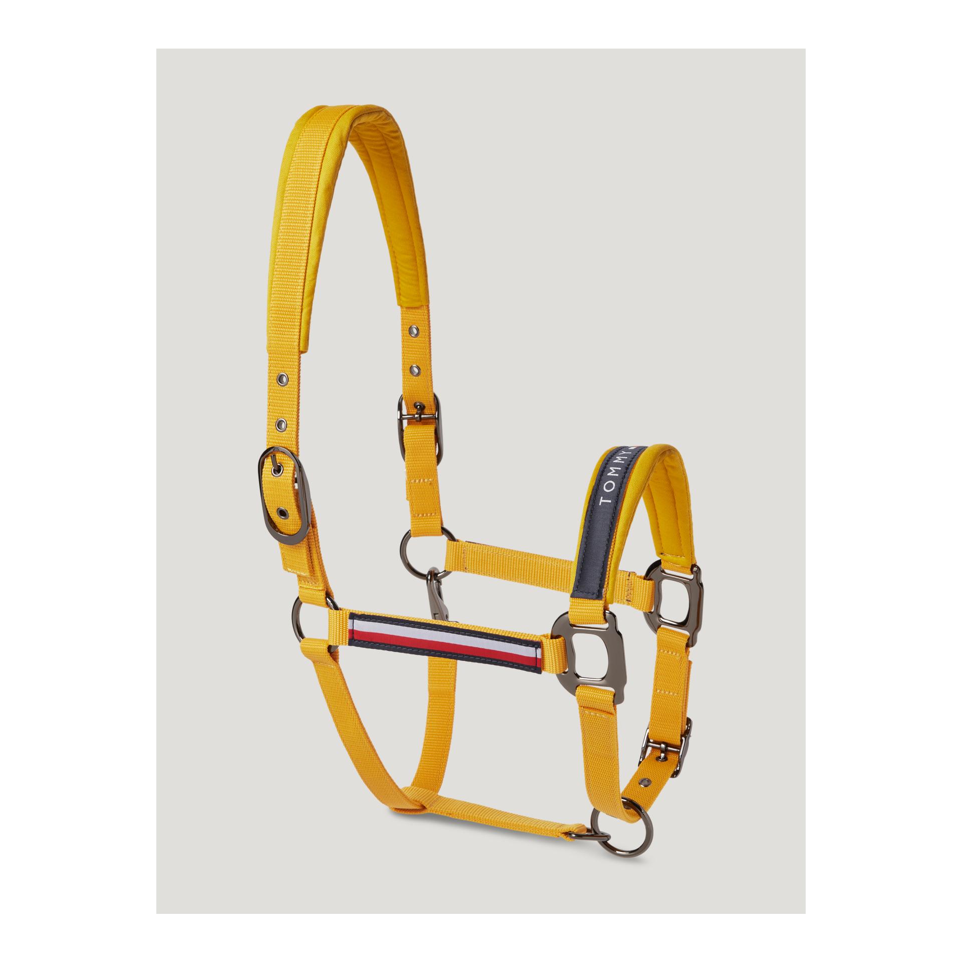 Tommy Hilfiger Equestrian 11x Ensemble licol et longe Yale