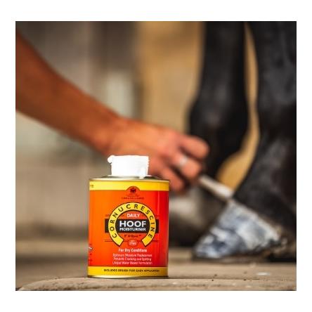 Carr & Day & Martin Cornucrescine Daily Hoof Moisturizer