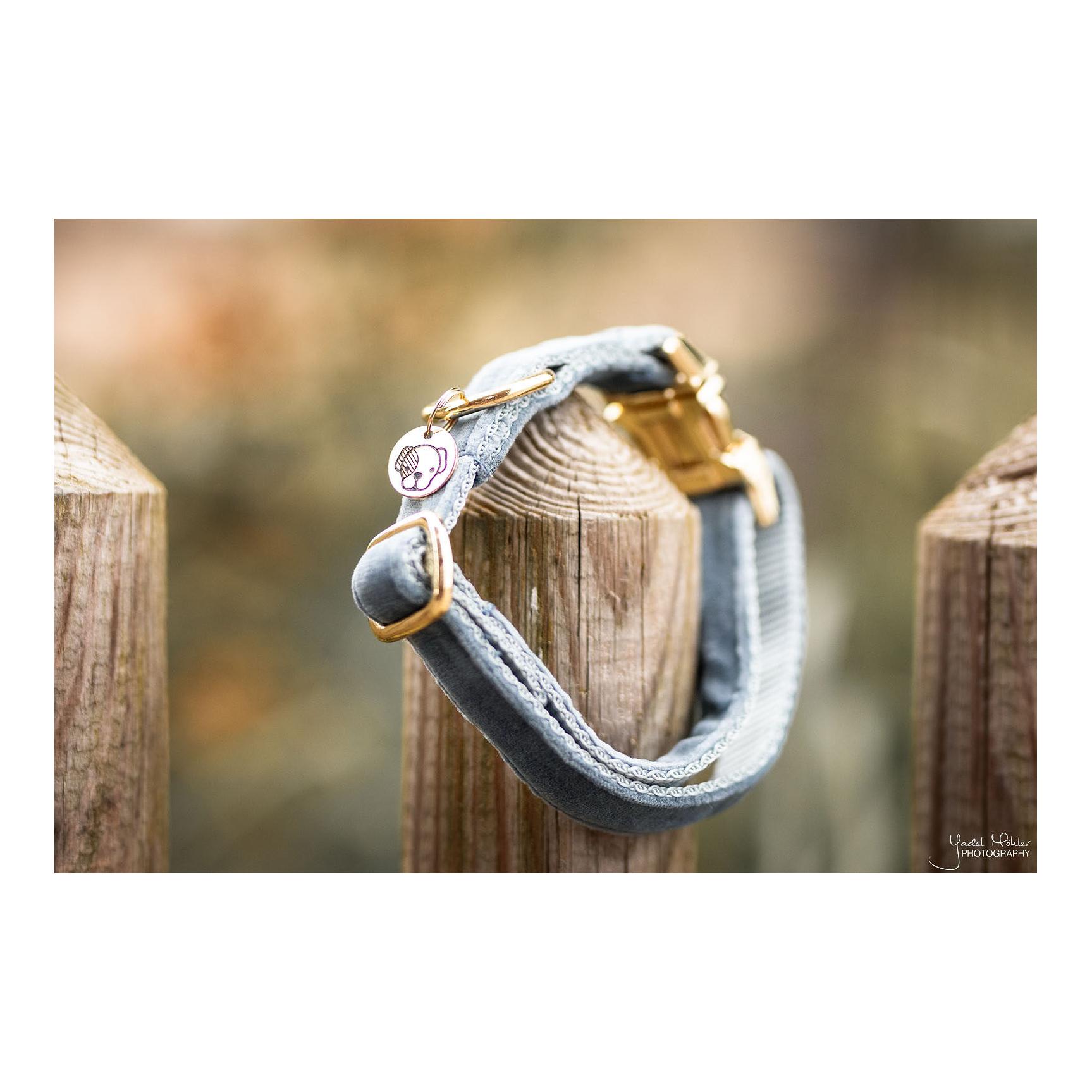 Kentucky Dogwear Collier pour chien Velvet - bleu clair