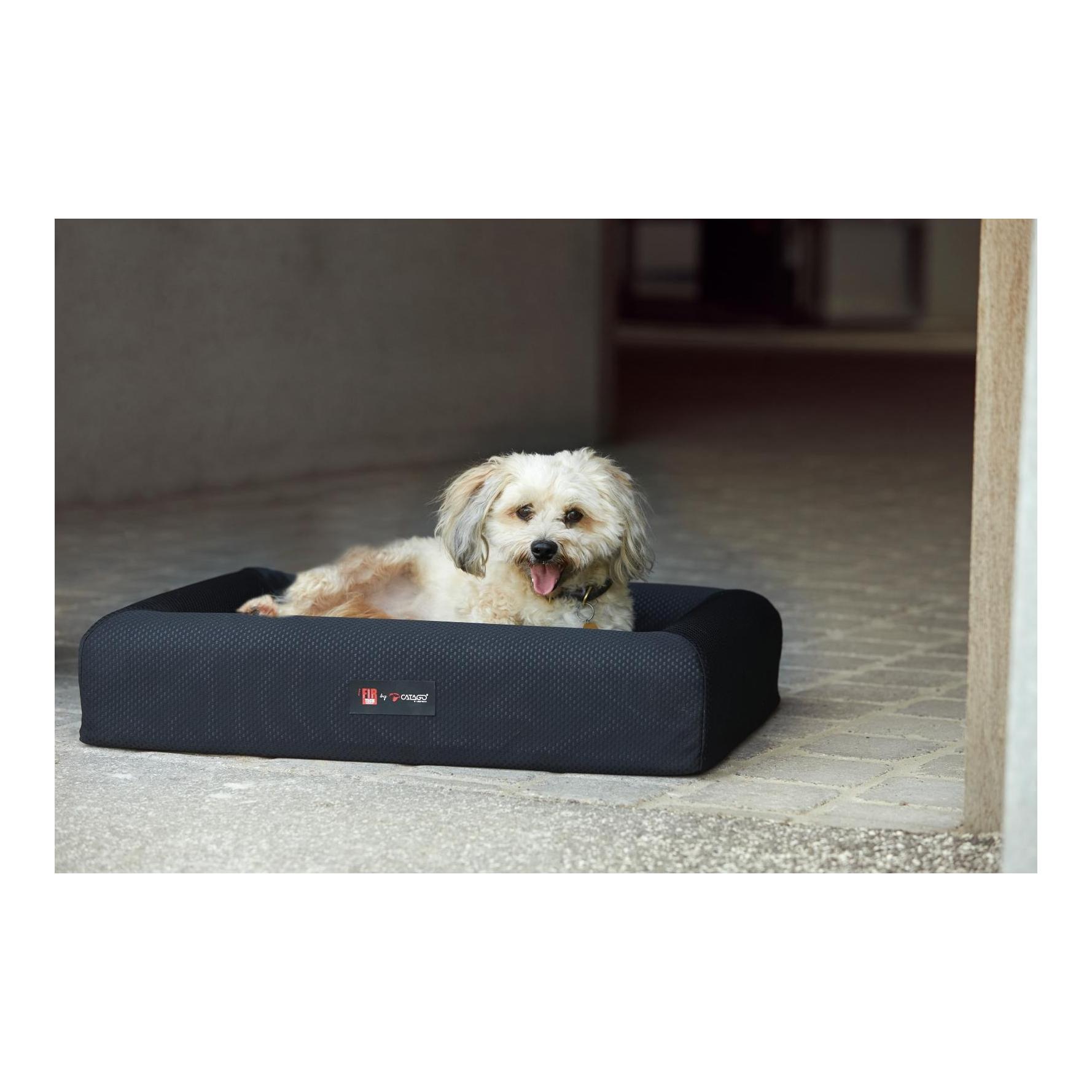 Catago Panier pour chien FIR-TECH