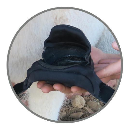 Easyboot Mini hipposandales