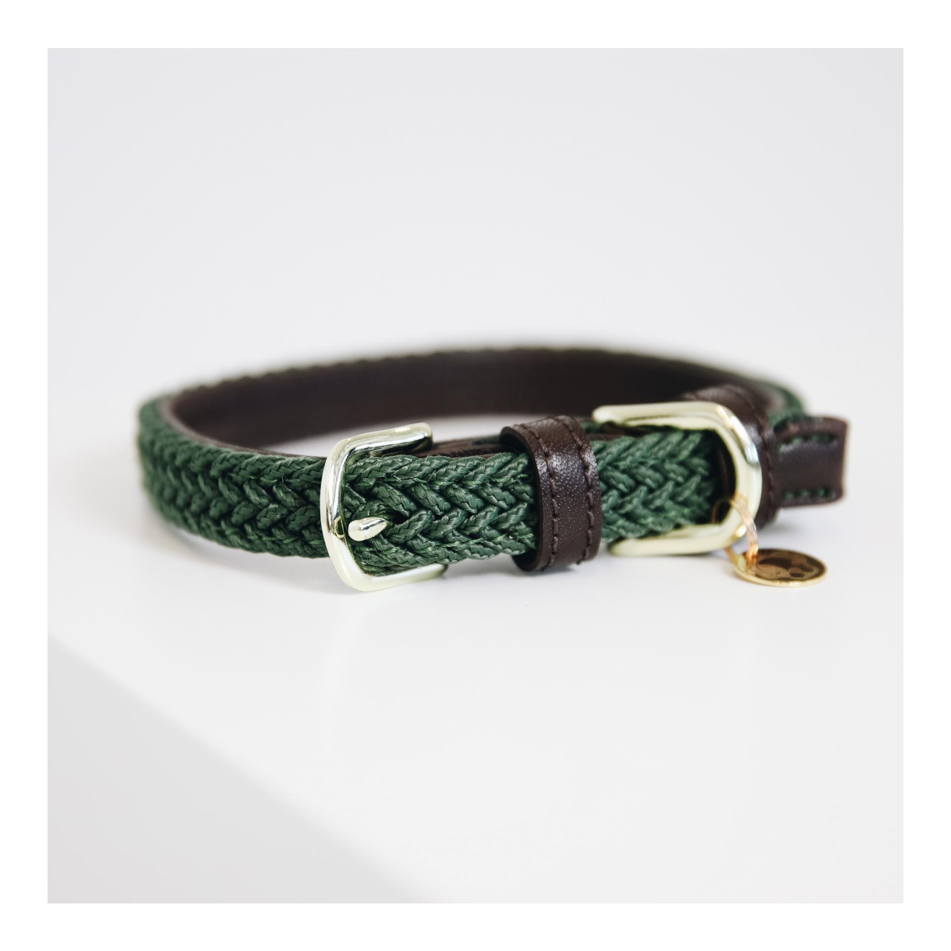 Kentucky Dogwear Hundehalsband Nylon geflochten - olive green