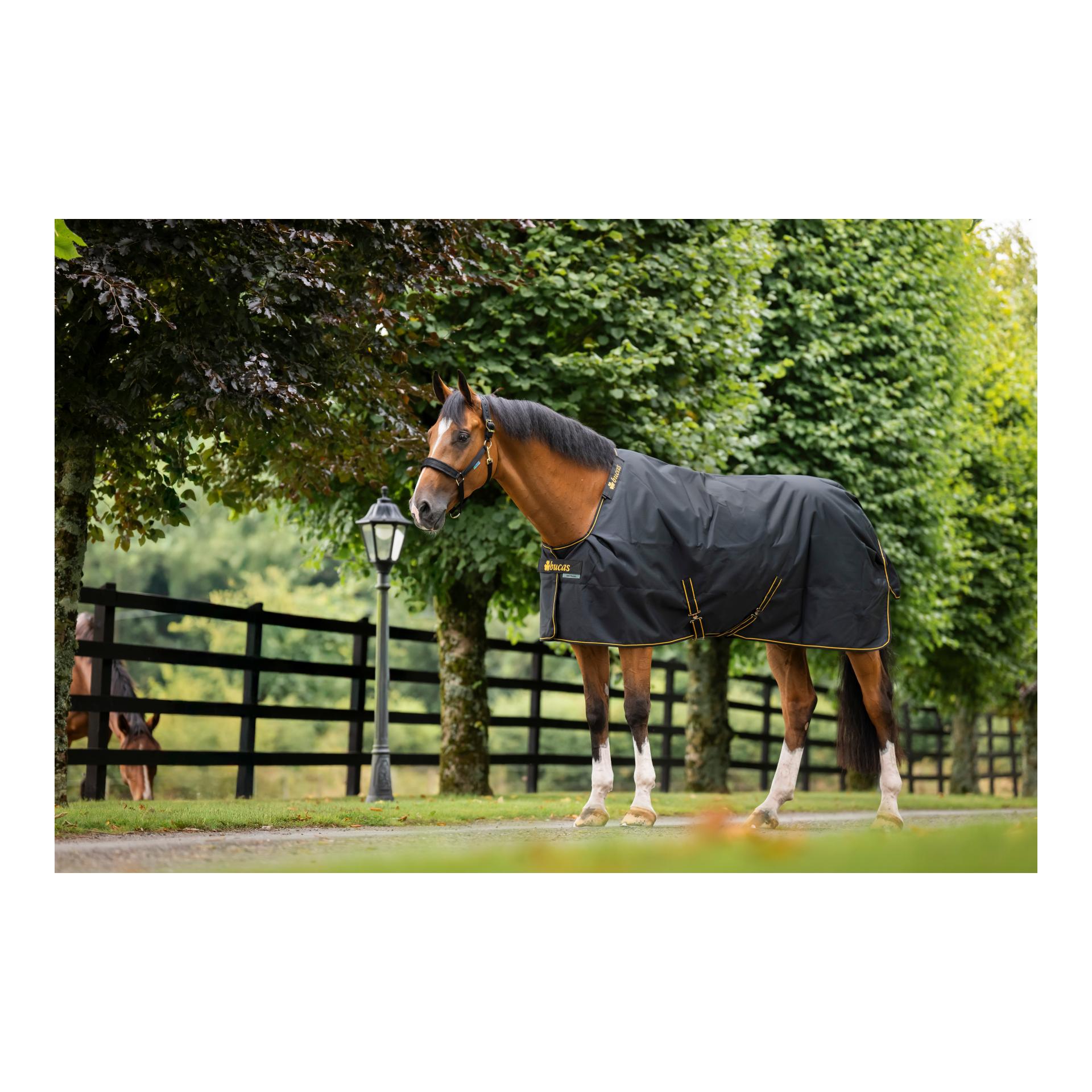 Bucas Irish Turnout Ligth Classic 50g Isolation - noir/doré