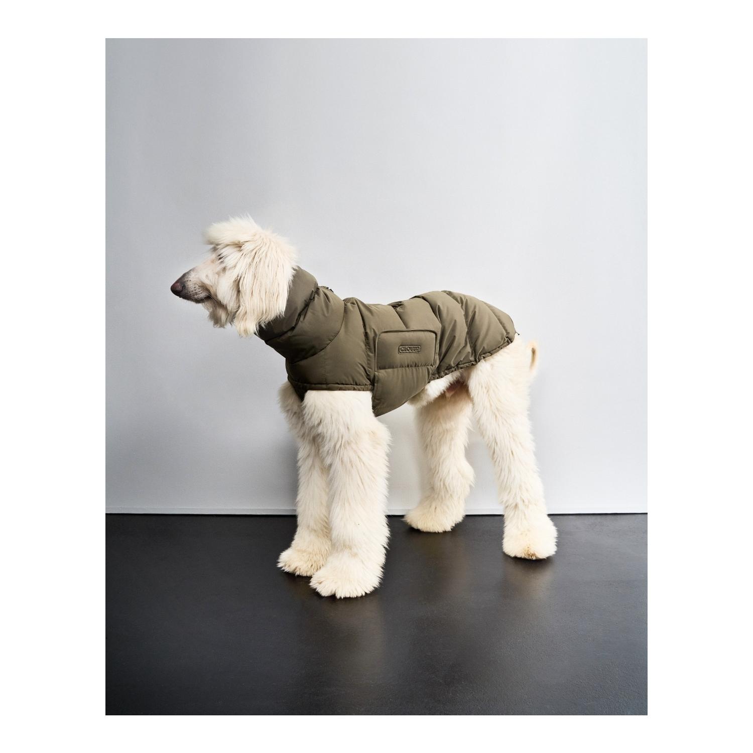 Cloud 7 Manteau d'hiver pour chien Alaska Regular