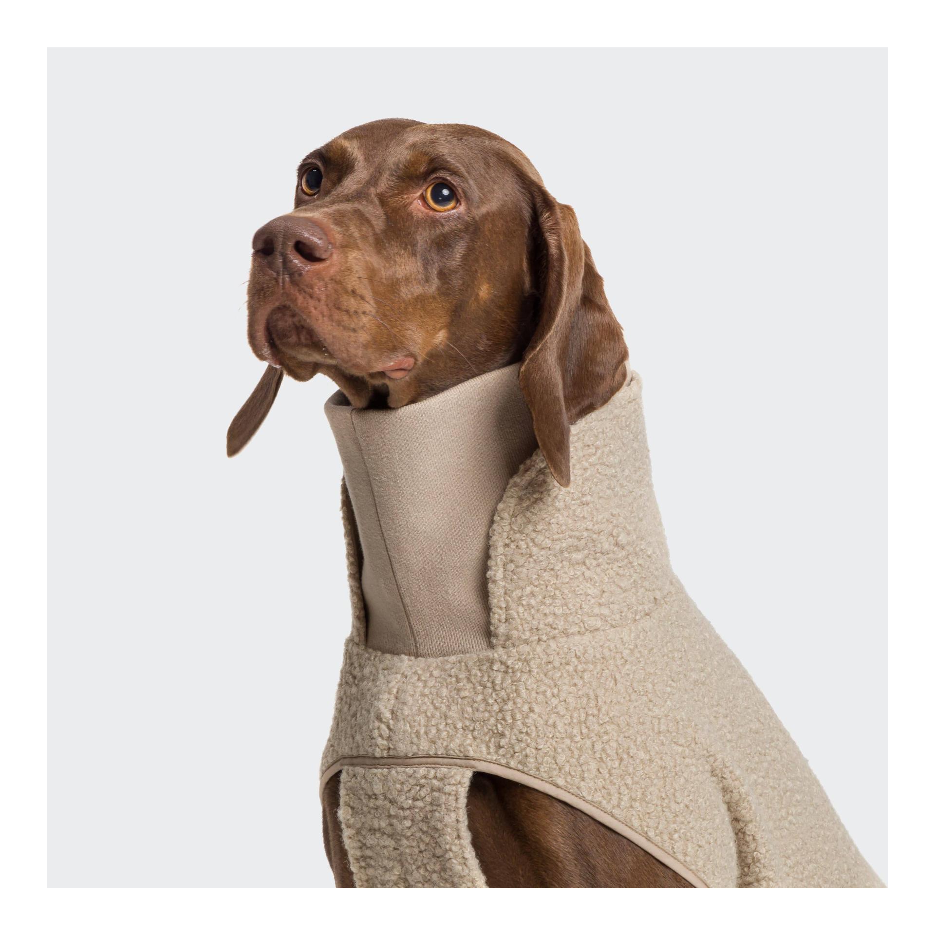 Cloud 7 Hundepullover Gotland mit Kragen