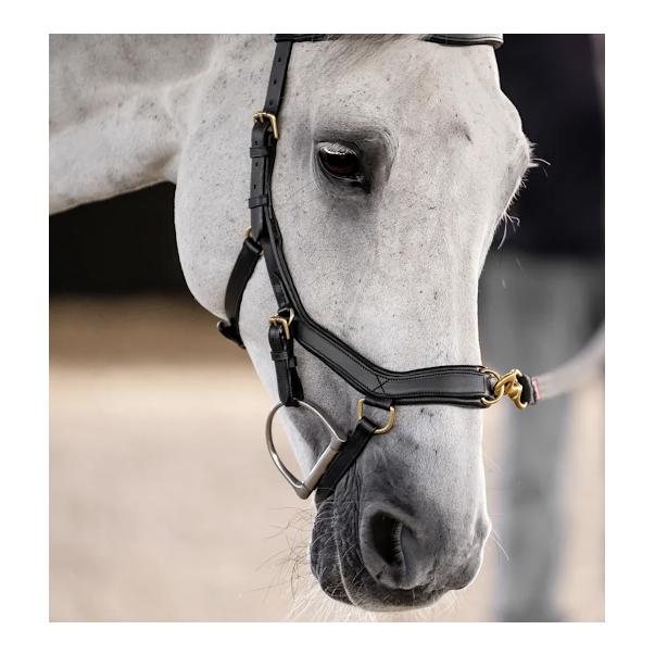 Horseware Zaum Micklem Multi