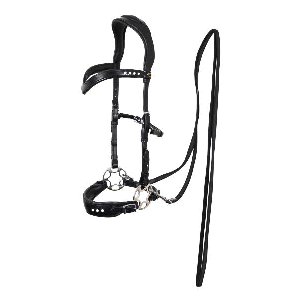 F.R.A Glory System 2, Hackamore mit Perlen