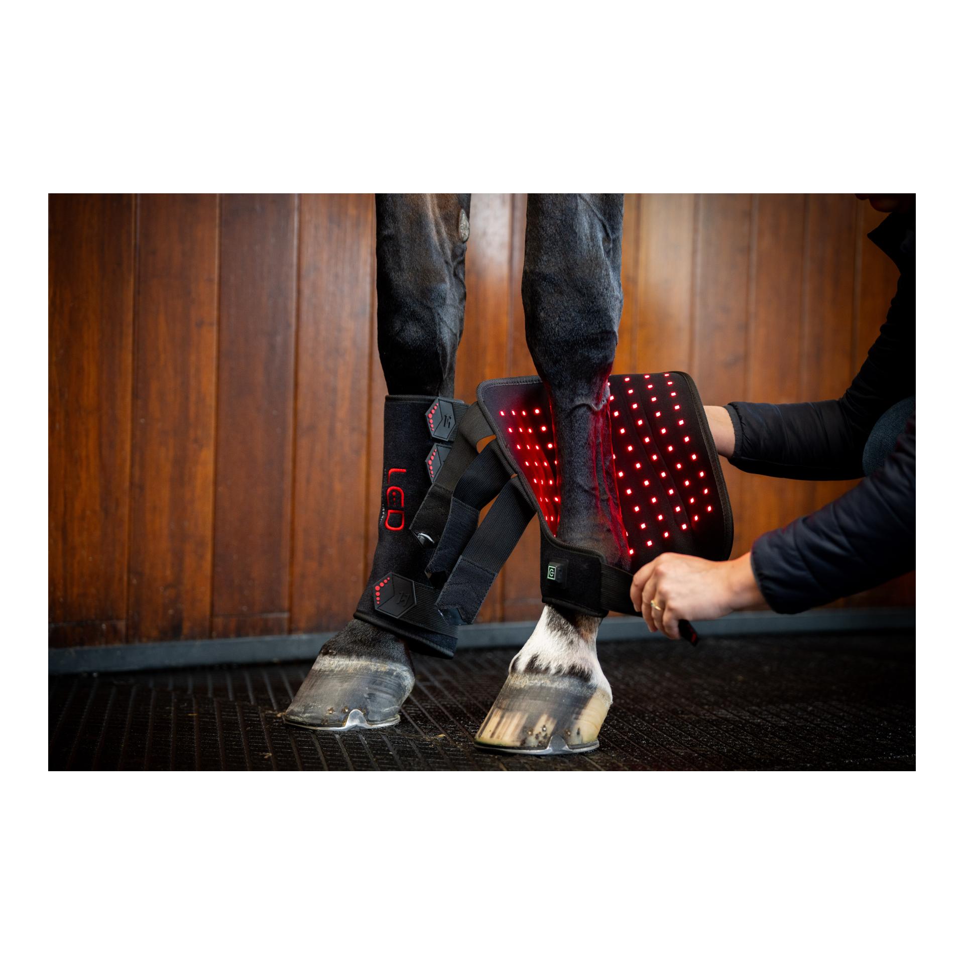 Horseware Horseware LED Red Light Therapy
Leg Wraps Pair