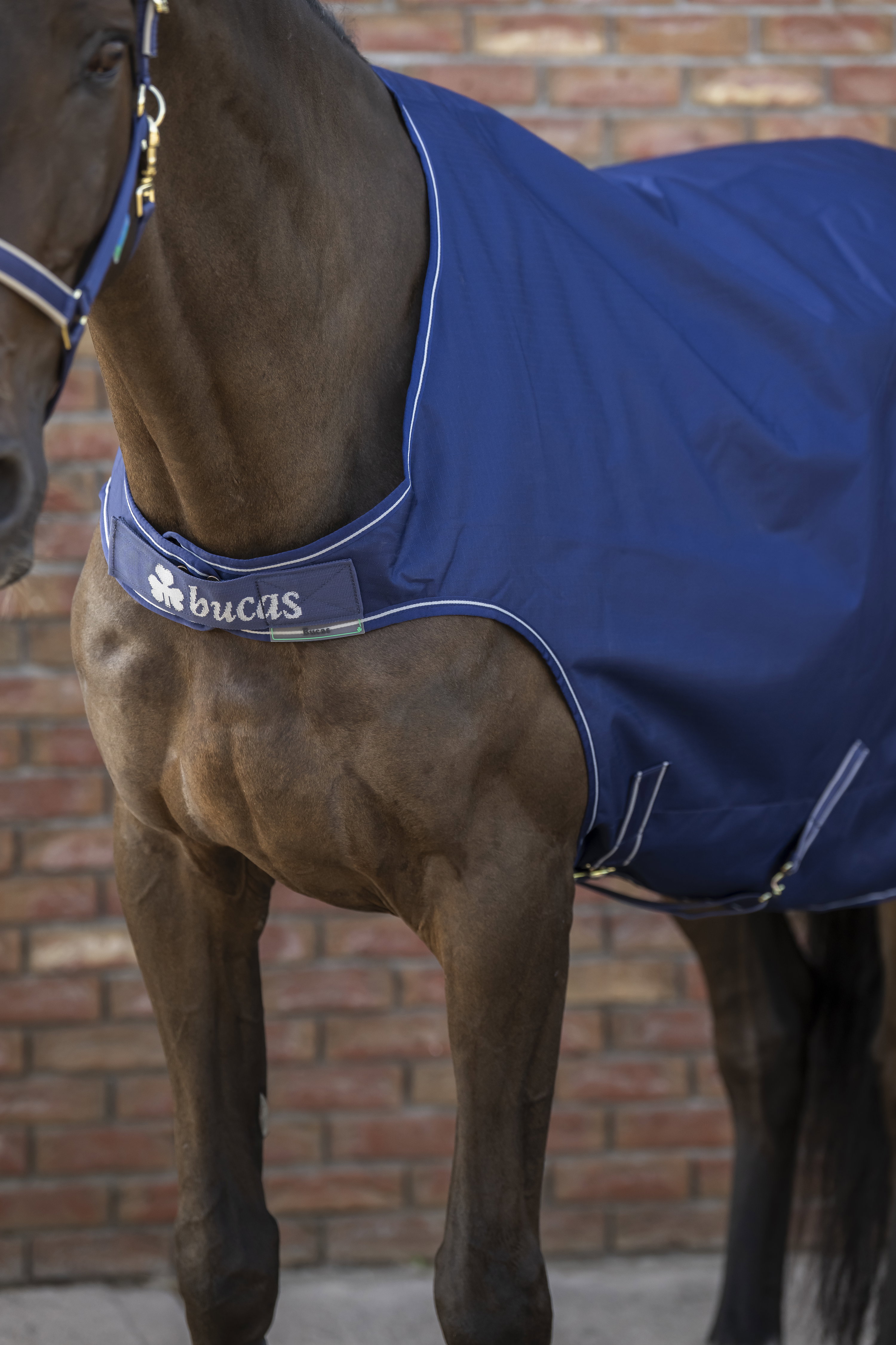 Bucas Walkerdecke - navy