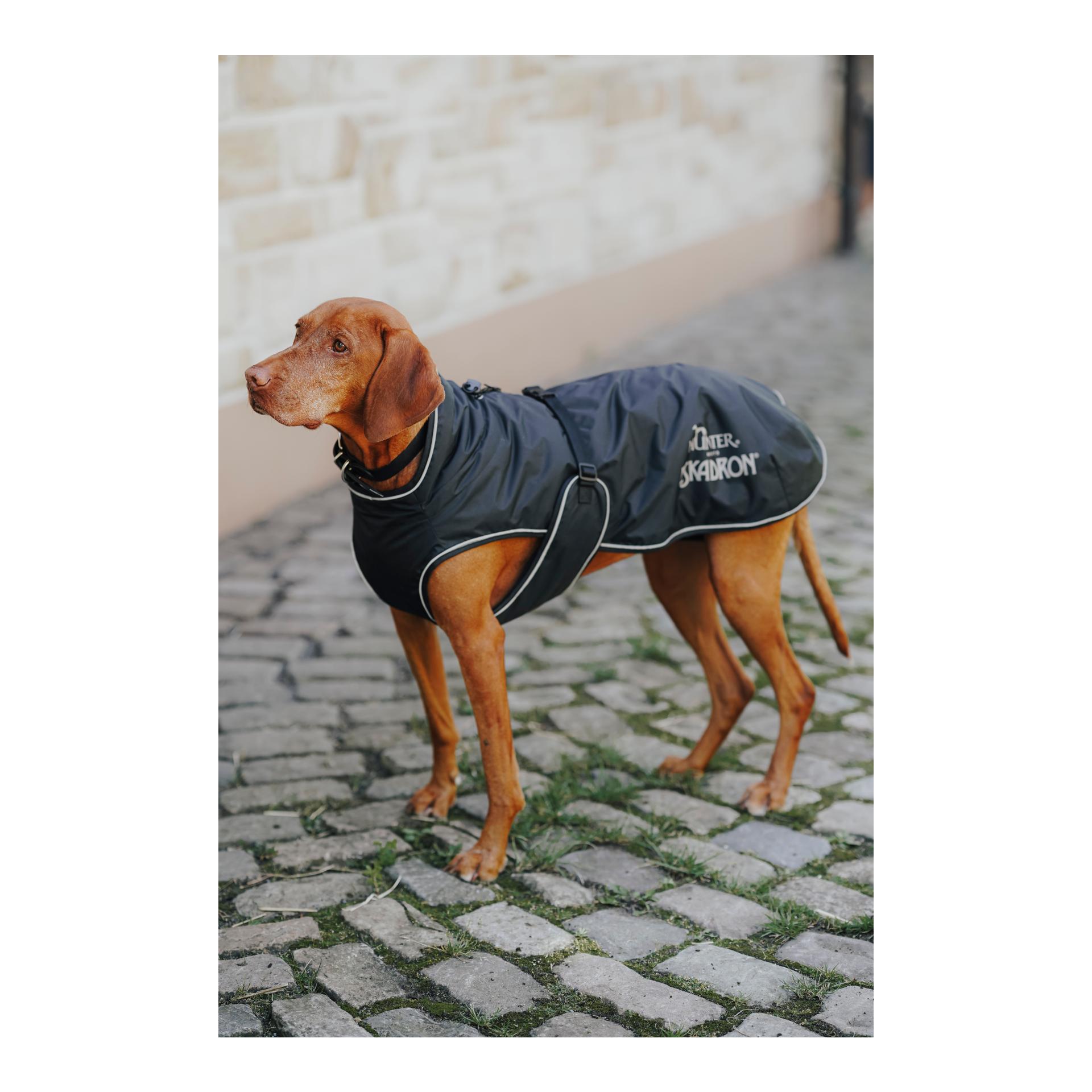 Eskadron Hunde Wintermantel VARIO