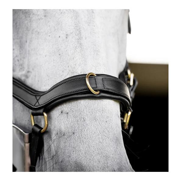 Horseware Zaum Micklem Multi