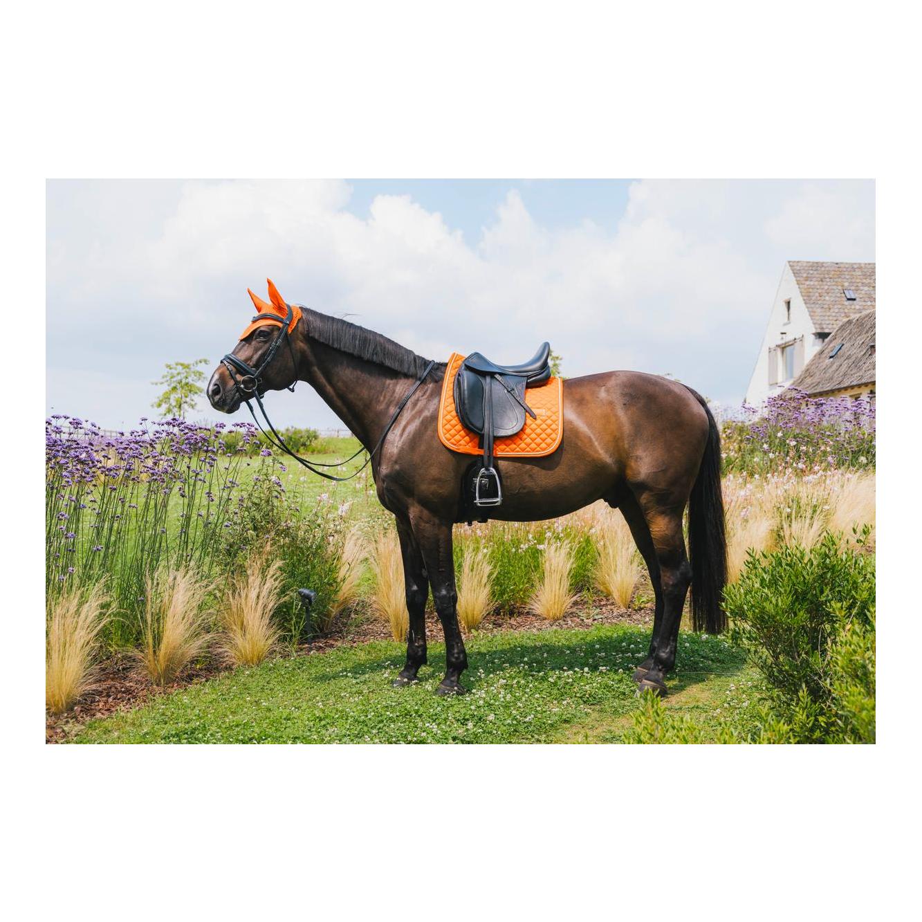 Kentucky Schabracke diamond rope