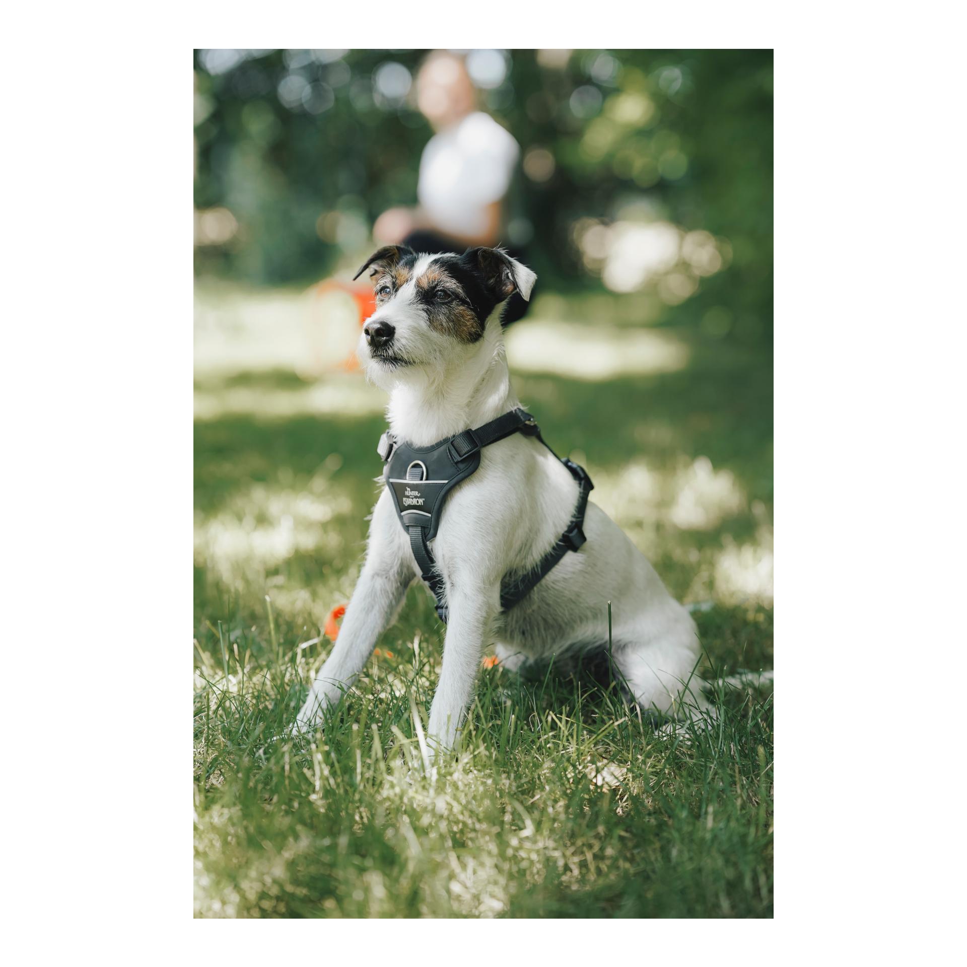 Eskadron Harnais pour chien MOTION REFLECT
