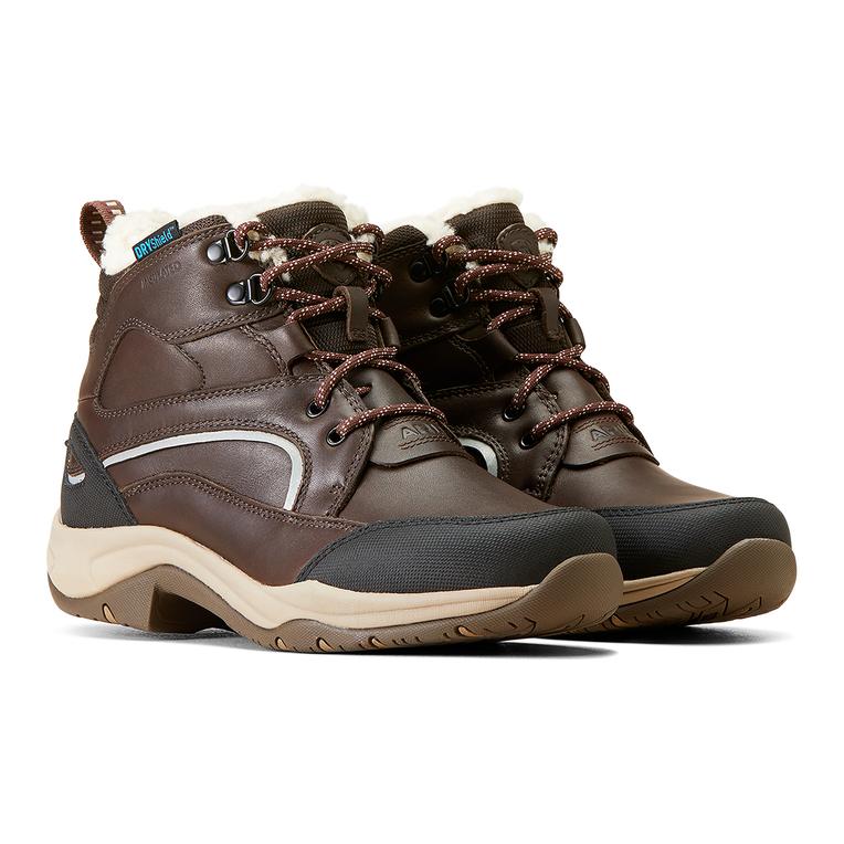 Ariat Arbeitsschuh Telluride Winter Waterproof Damen