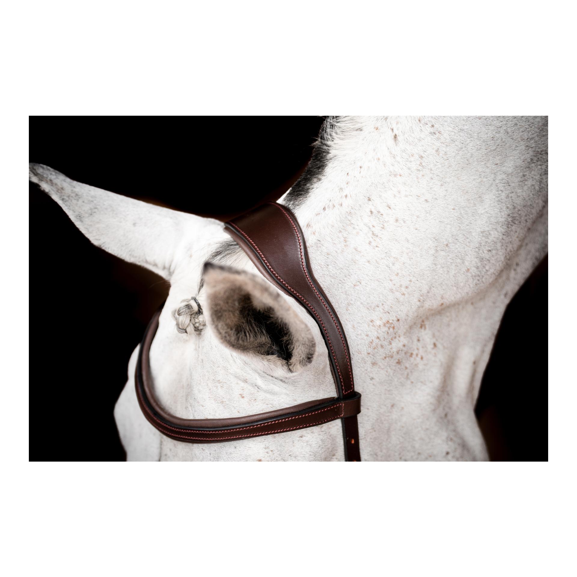 Horseware Bridon Micklem3 Compétition sans rênes