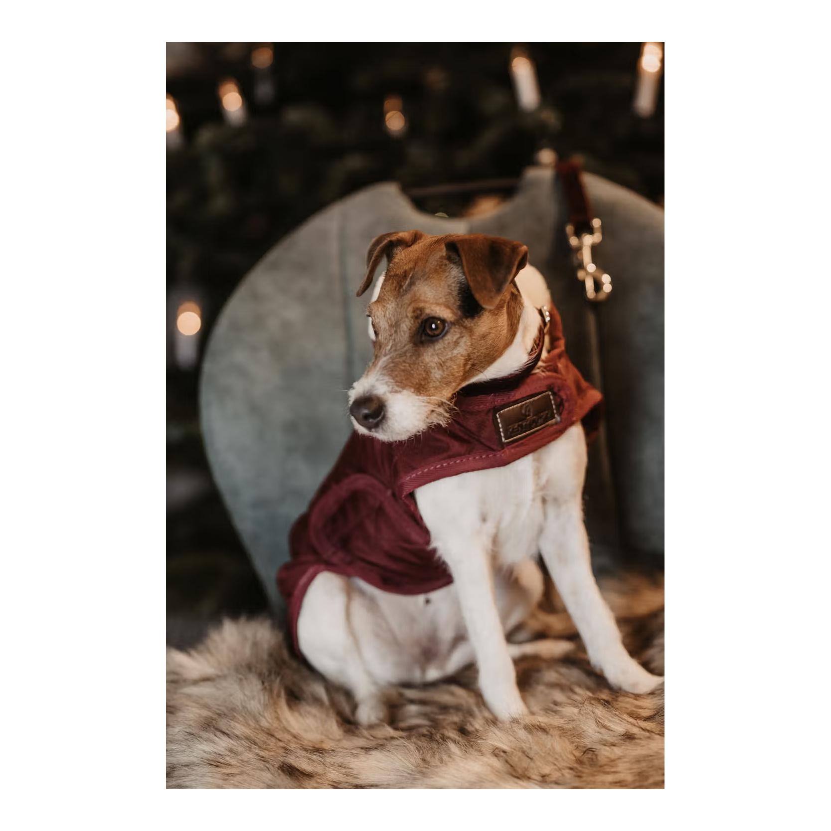 Kentucky Dogwear Manteau pour chien Original - bordeaux