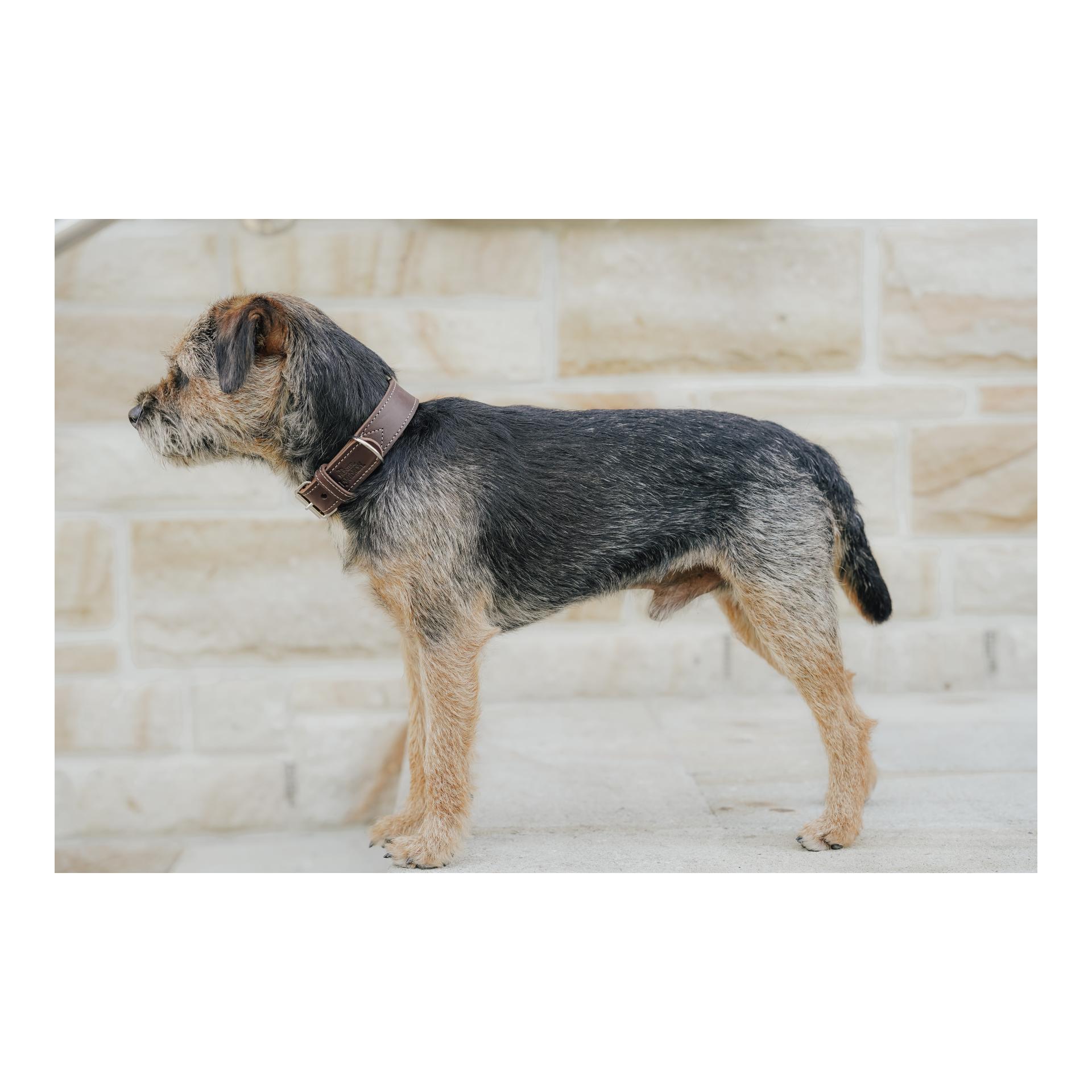 Eskadron Hundehalsband CRAFT