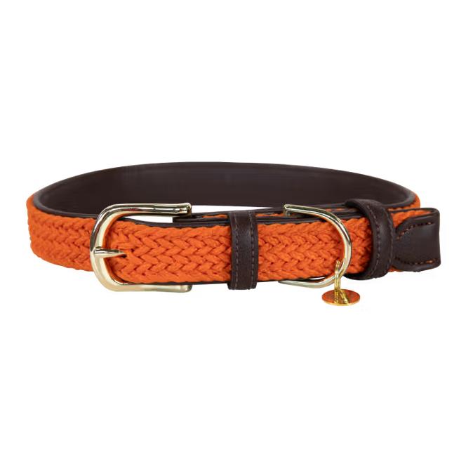 Kentucky Dogwear Collier pour chien en nylon tressé
