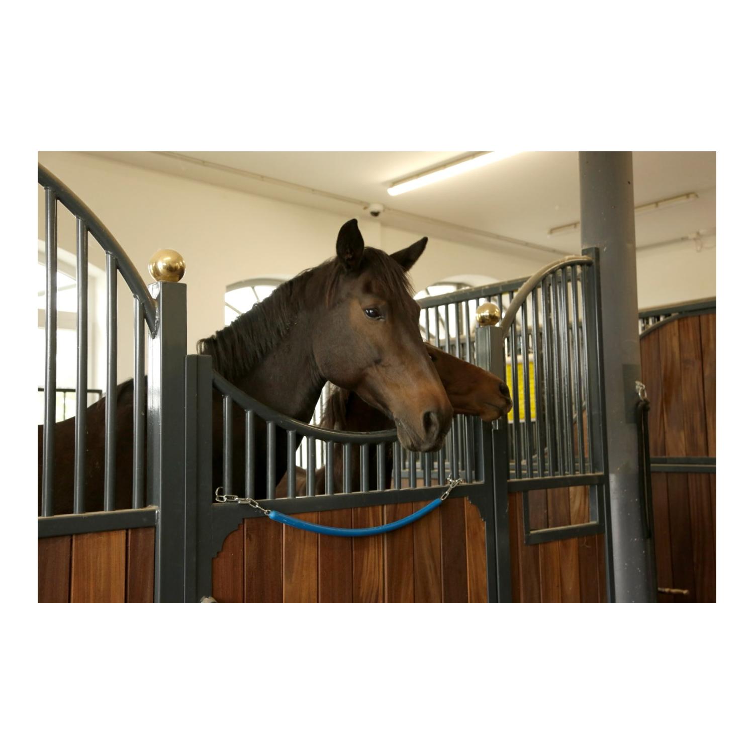 Kerbl Deckenhalter mit Kette