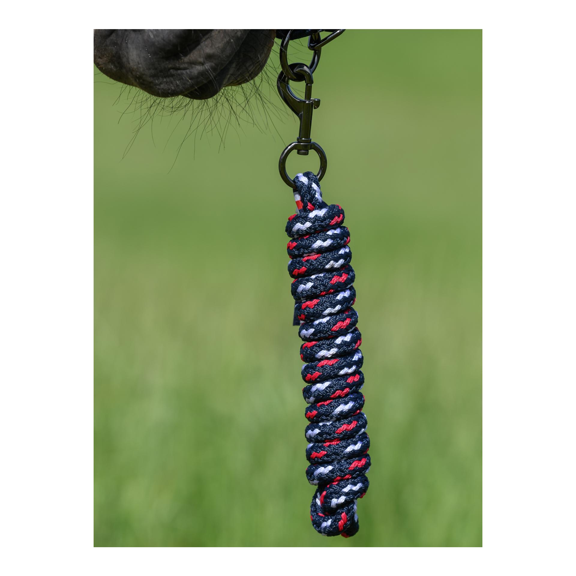 Tommy Hilfiger Equestrian 11x Ensemble licol et longe Yale