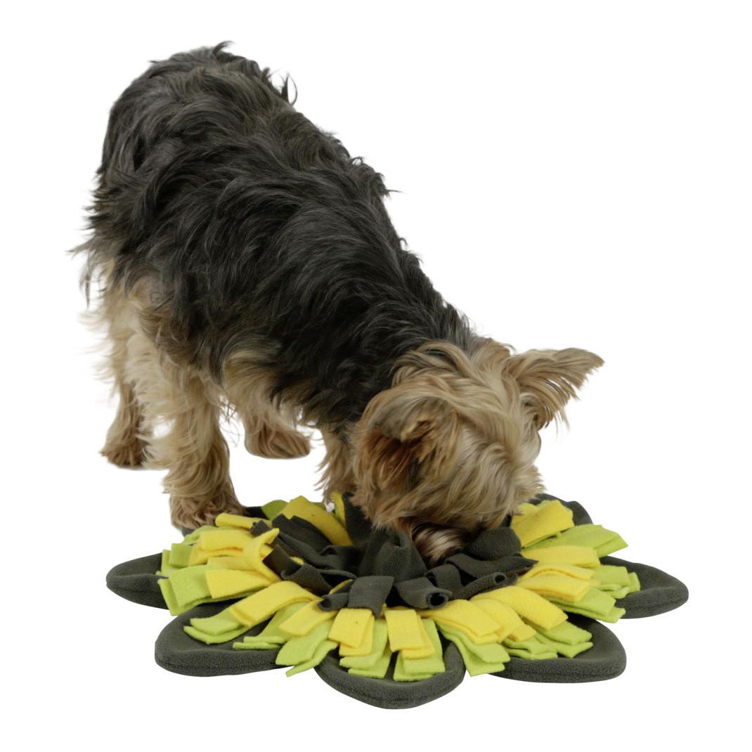 Kerbl Pet Tapis à fouiller Sunflower - jaune/vert