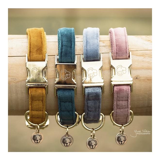 Kentucky Dogwear Collier pour chien Velvet - bleu clair