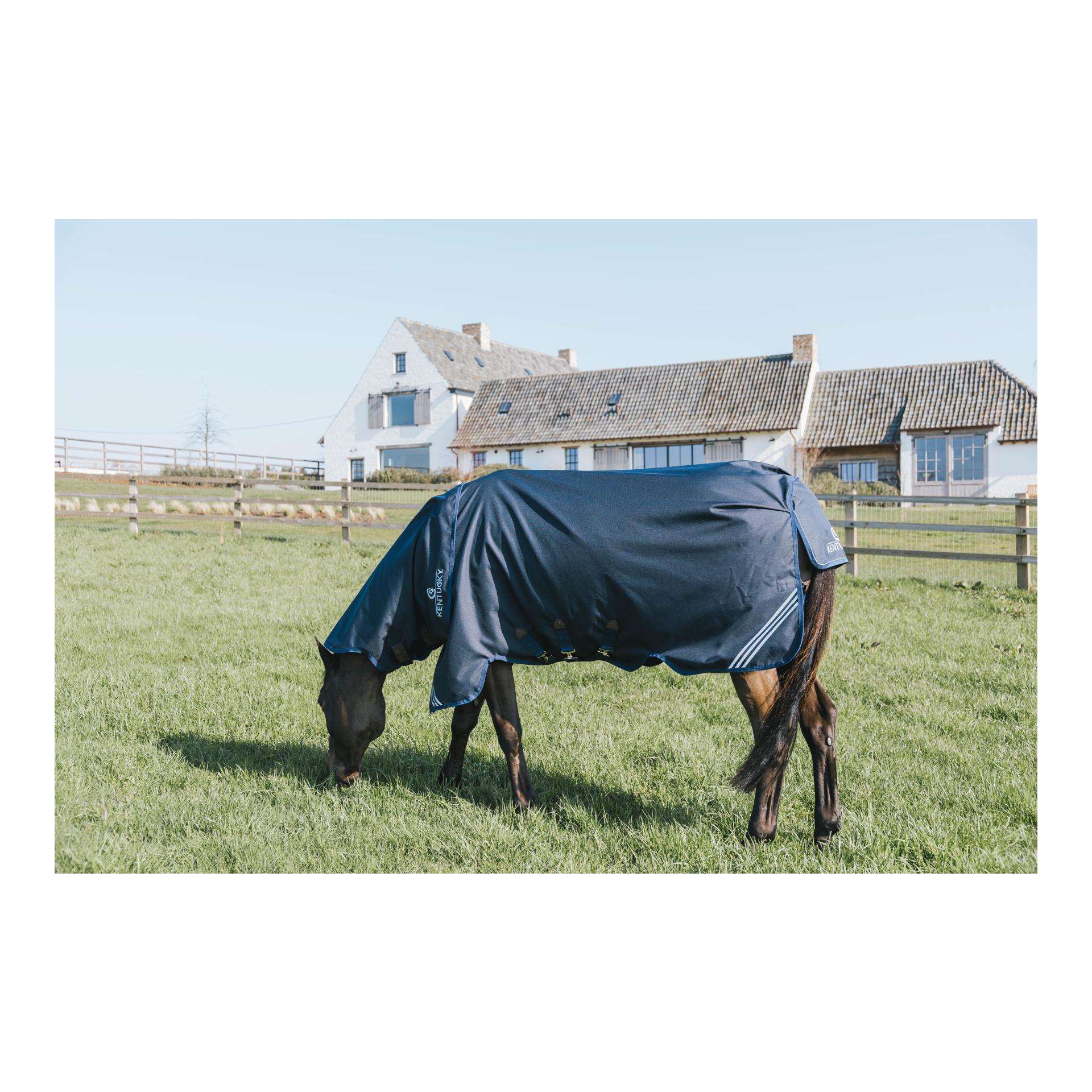 Kentucky Weidedecke all Weather waterproof Comfort 100g und Halsteil all Weather waterproof Comfort 100g Set