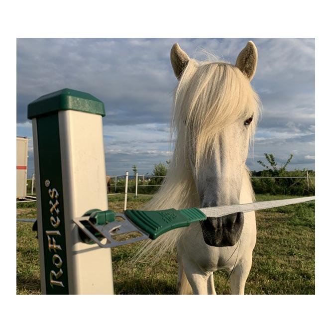 RoFlexs Système de clôture Premium E 145 Set