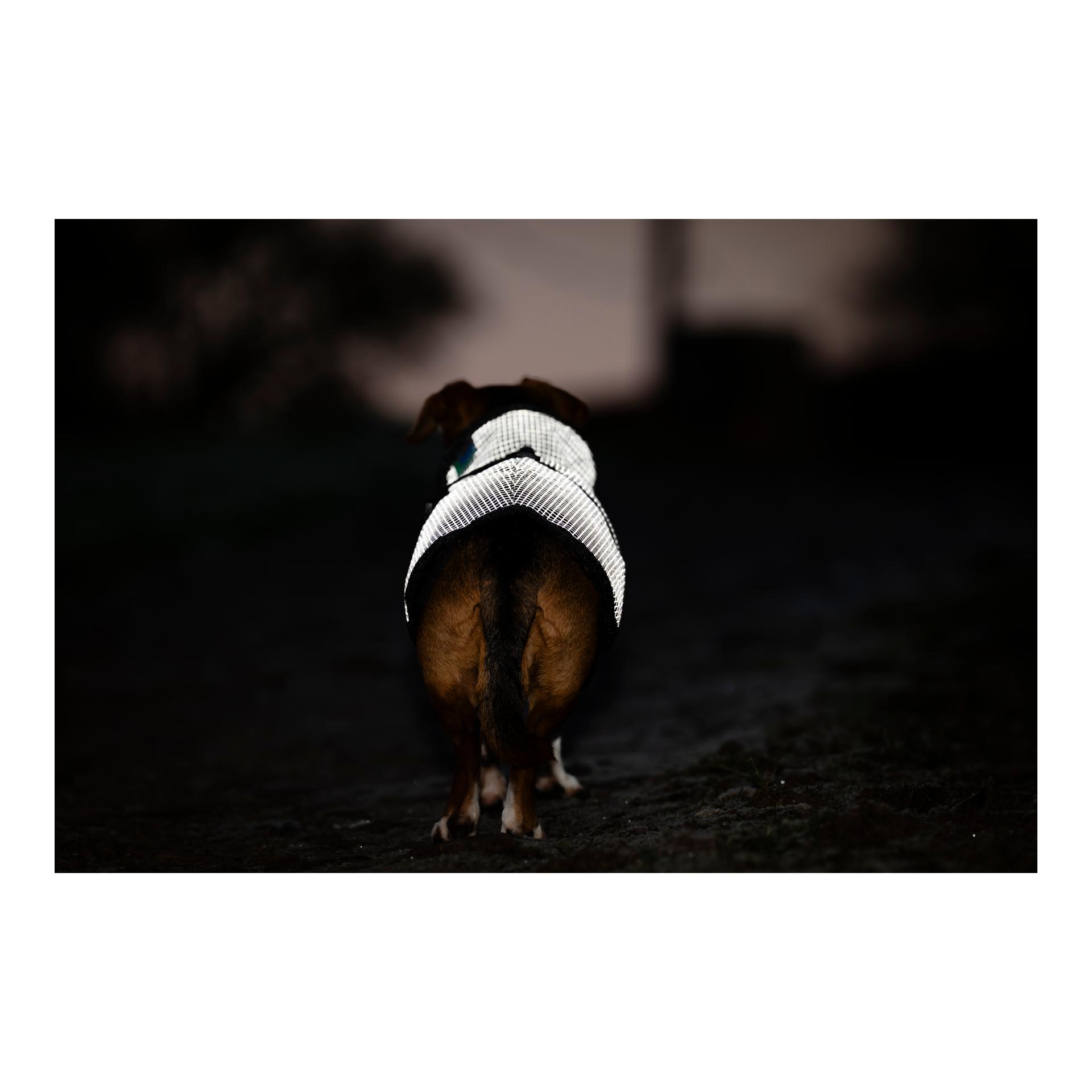 Bucas Hundedecke Refelctglow
