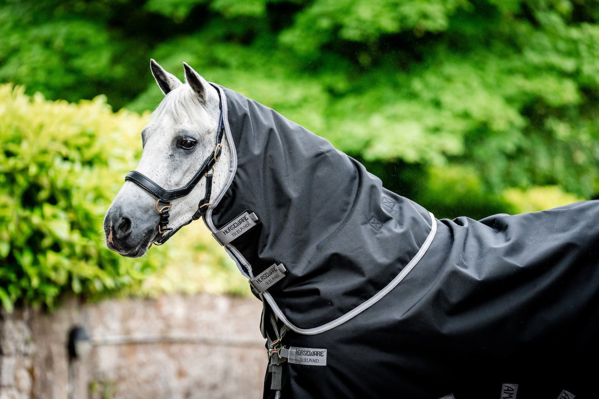 Horseware Weidedecke mit Halsteil Amigo 12 Plus 250g
