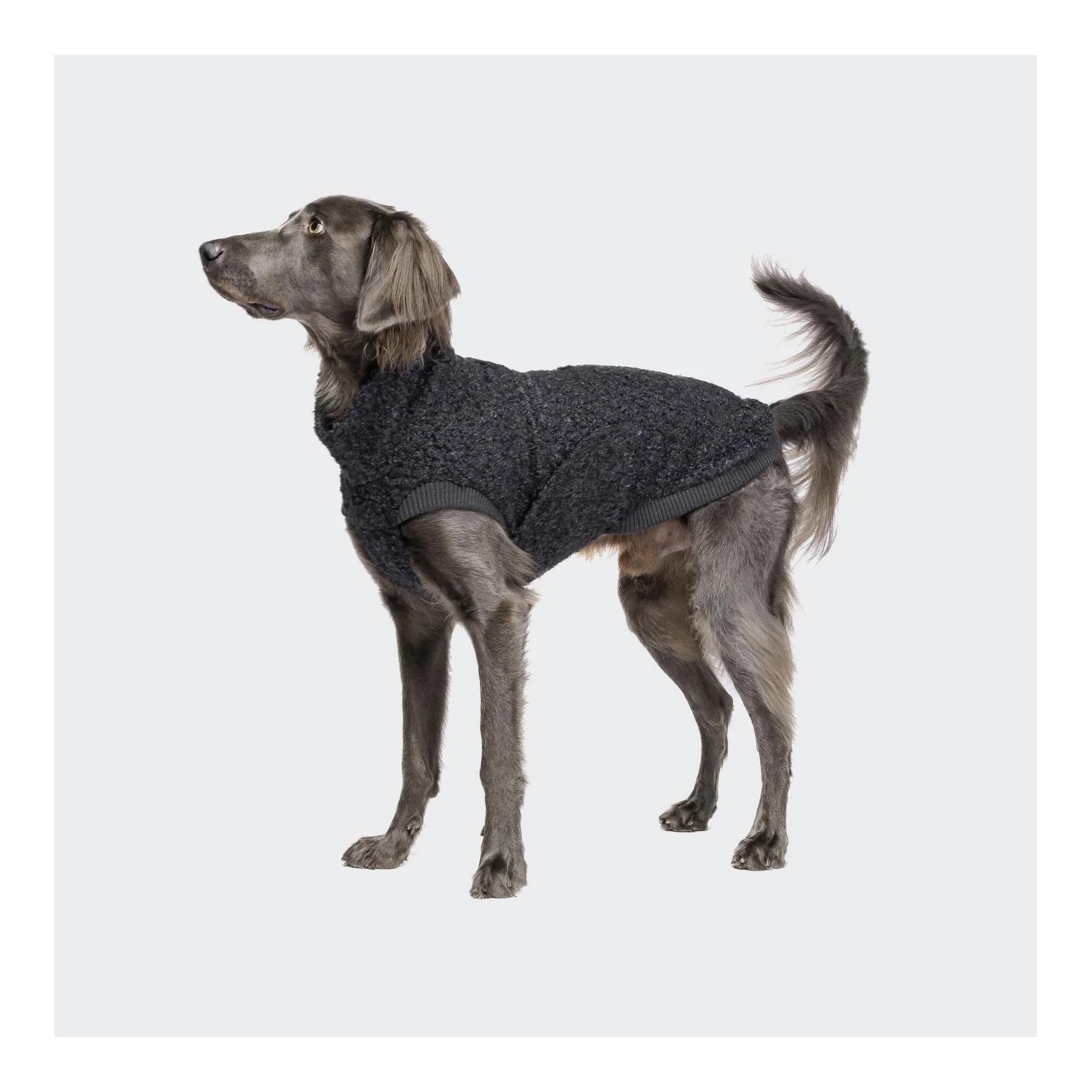 Cloud 7 Pull pour chien Gotland