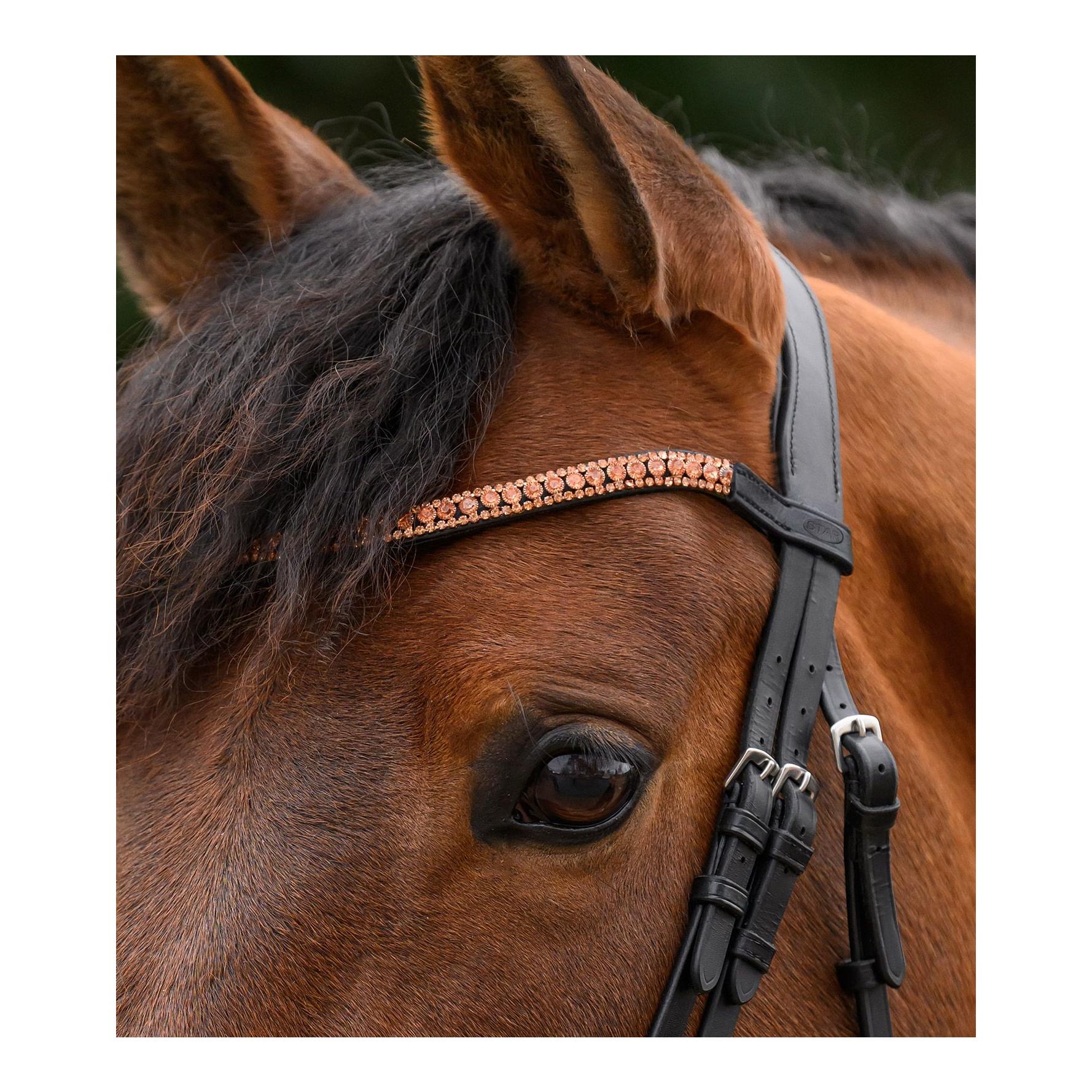 Star Stirnband Glitter