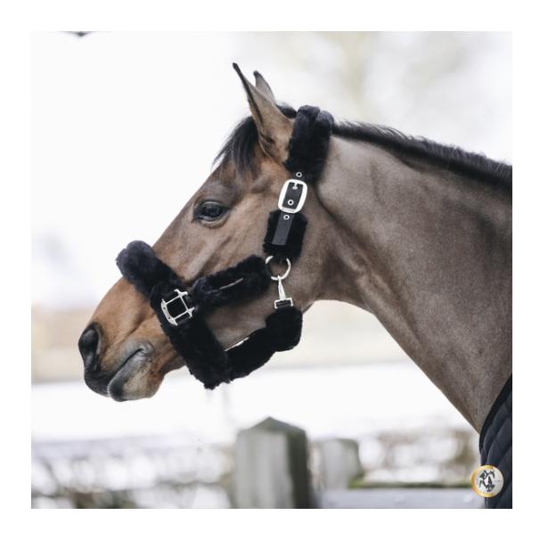 Kentucky Halfter Lammfell - schwarz