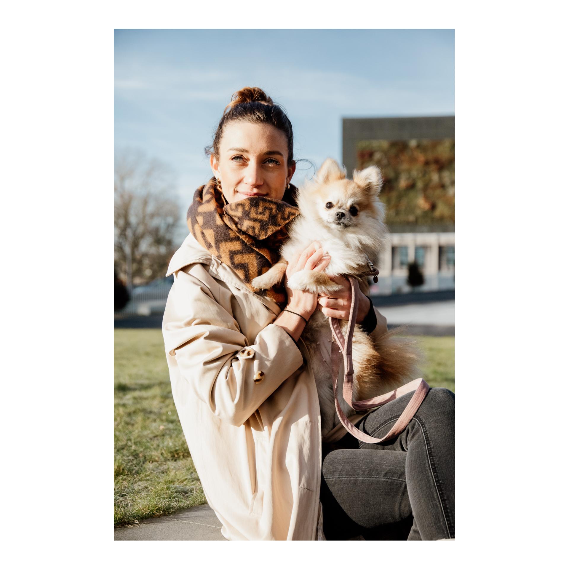 Kentucky Dogwear Laisse pour chien Velvet