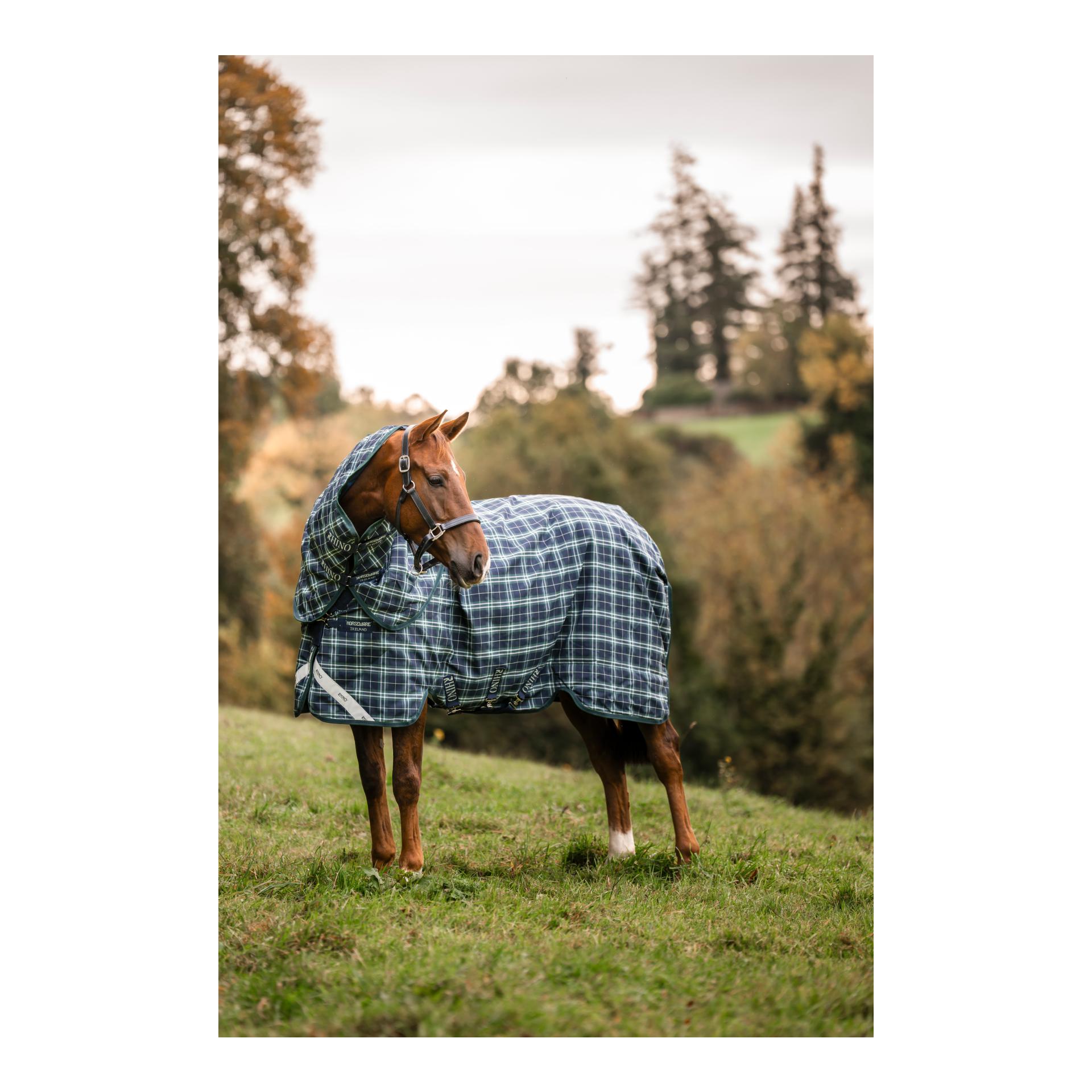 Horseware Weidedecke Rhino Plus Turnout 100g