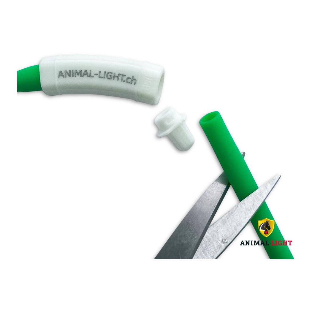 Animal Light Leucht-Hundehalsband Flex