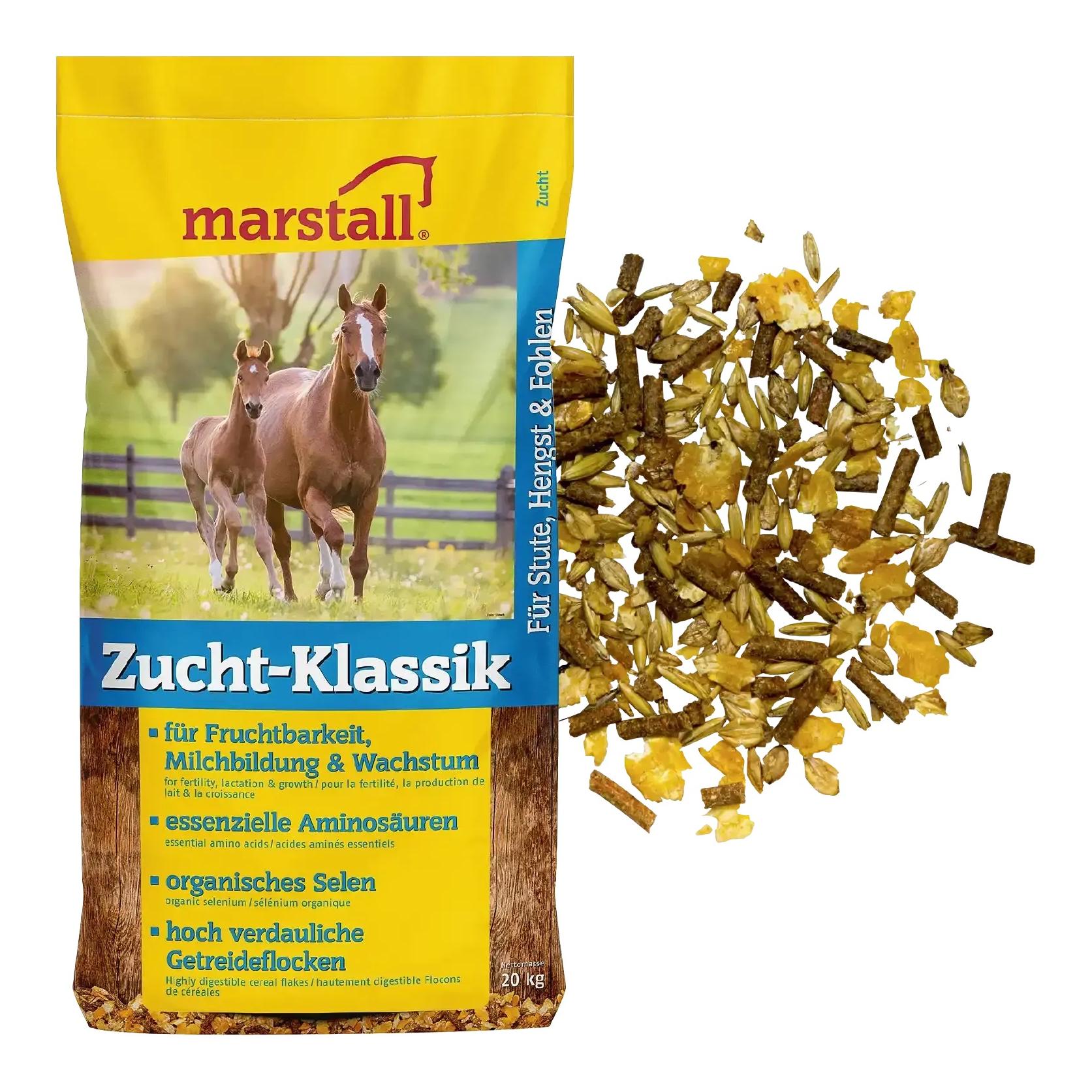 Marstall Zucht-Klassik