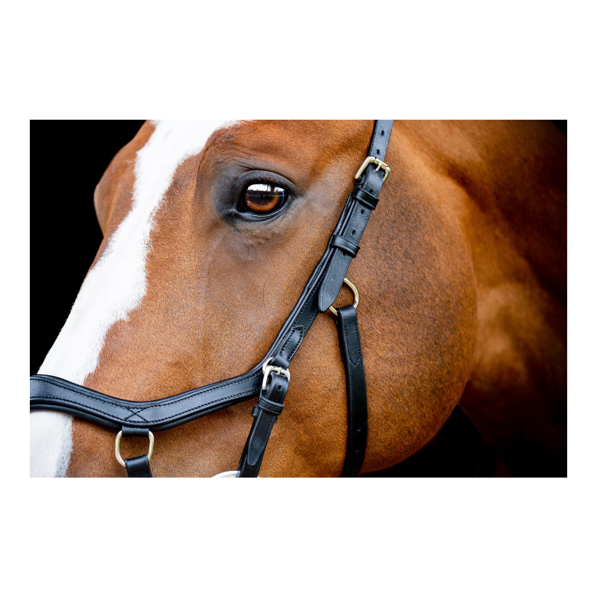 Horseware Bridon Micklem3 Compétition sans rênes