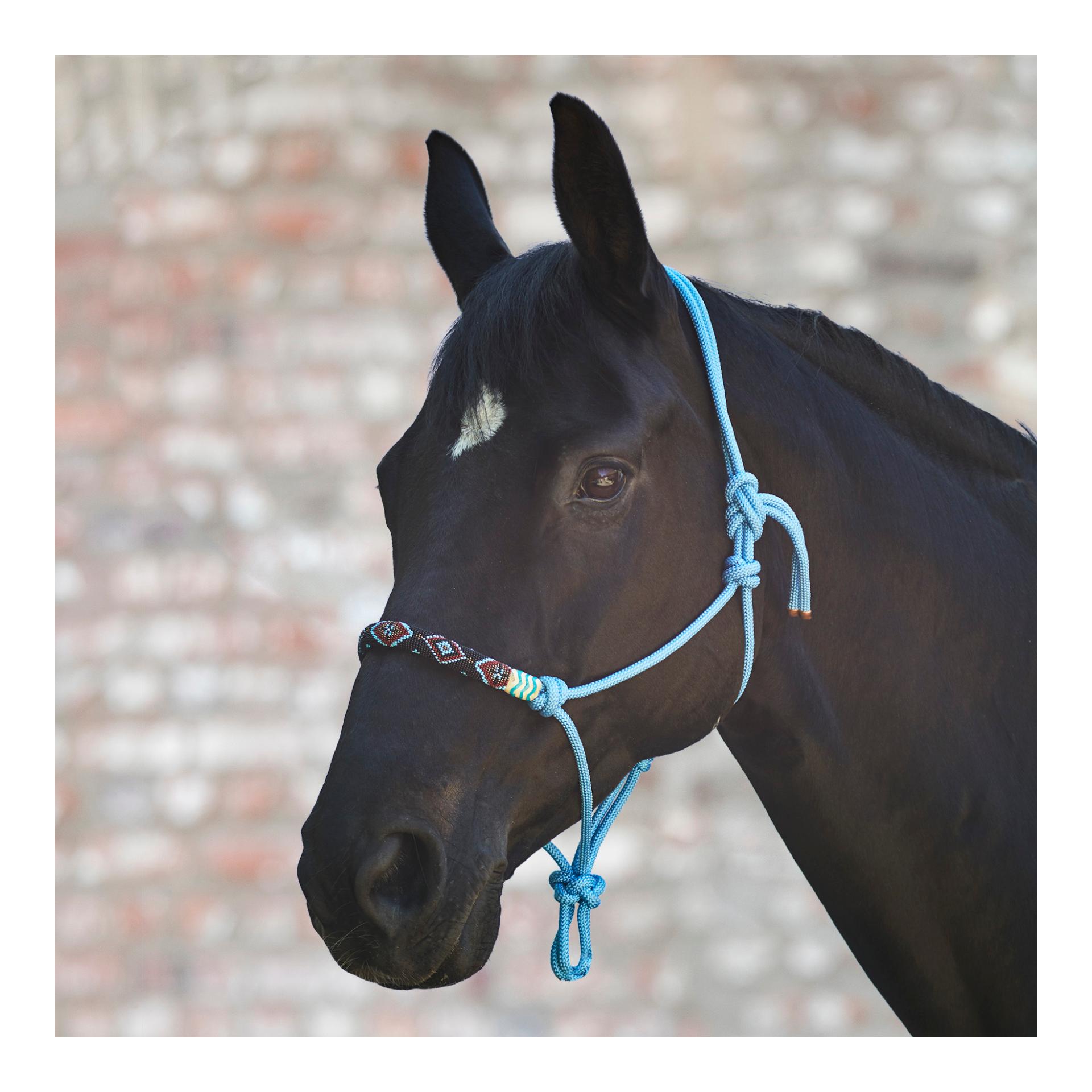 Waldhausen Knotenhalfter Pearls - azurblau