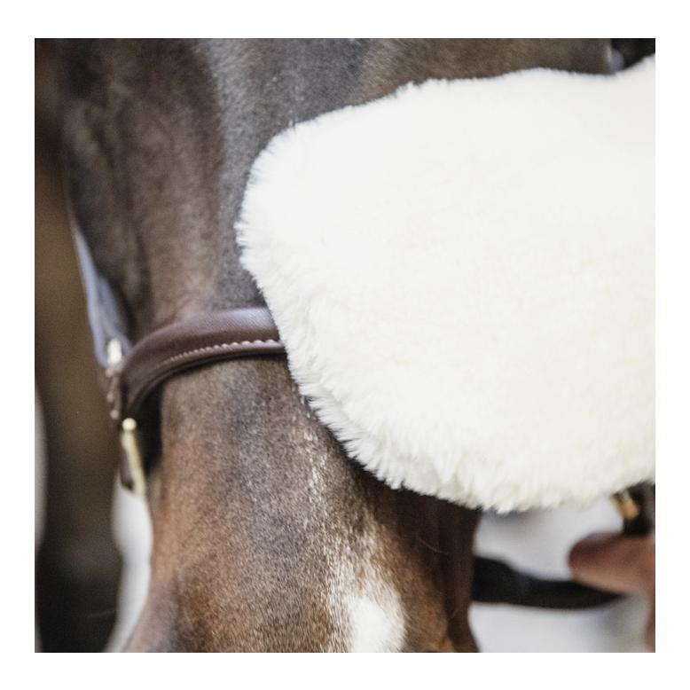 Grooming Deluxe Fell Putzhandschuh - natur