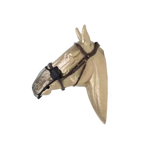 Kentucky Nasen Netz Medium