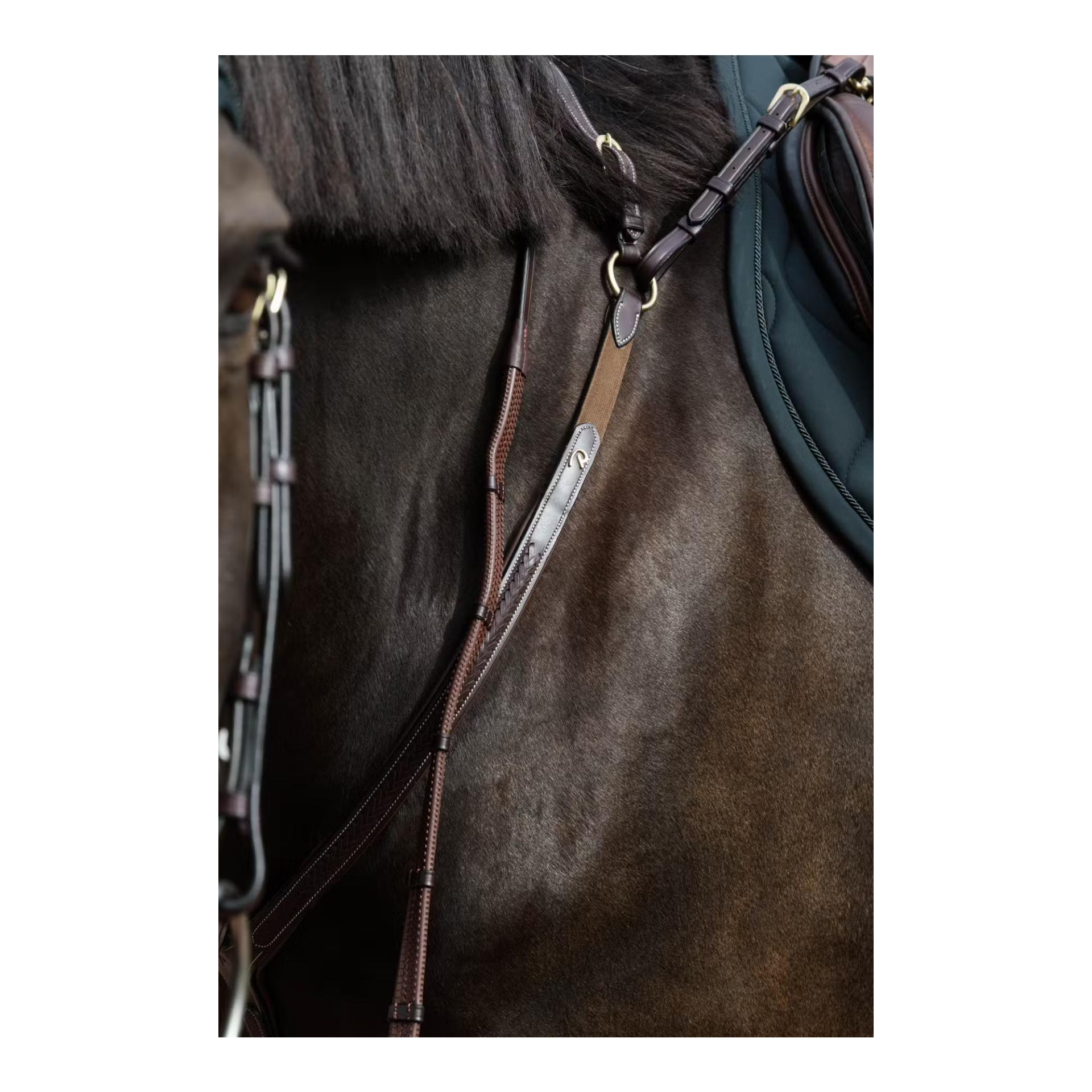 Dy'on Plaited Bridge breastplate D